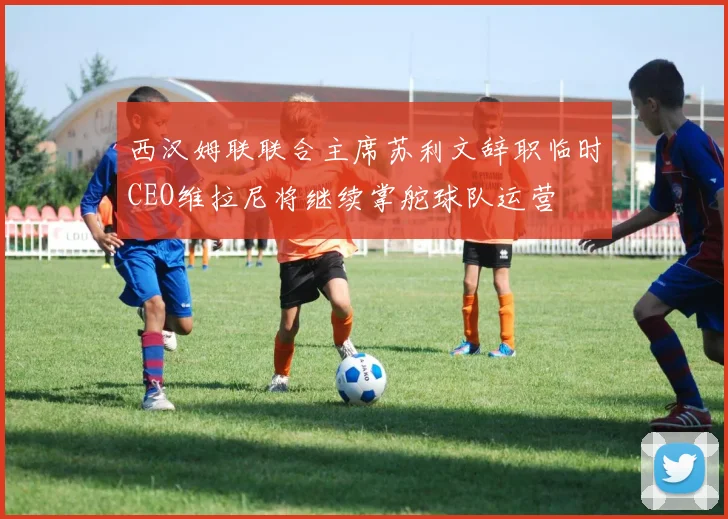 西汉姆联联合主席苏利文辞职临时CEO维拉尼将继续掌舵球队运营